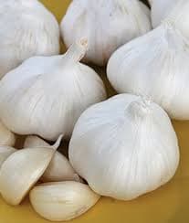 Quality Fresh Super White Garlic for Sale